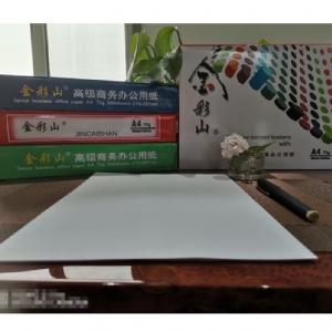 復印紙打印紙